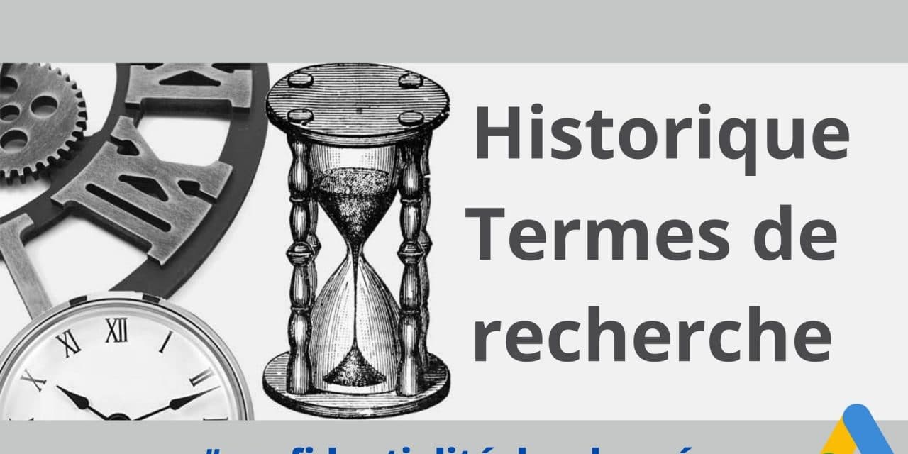 Historique termes de recherche : Google ads va perdre une partie de sa mémoire