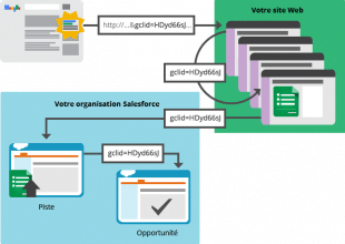 Importation des conversion offline salesforce