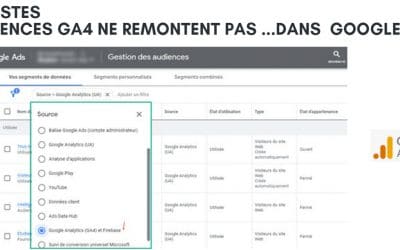 Pourquoi les listes d’audiences ne remontent-elles pas dans google ads ?