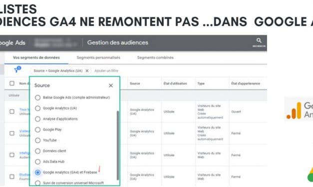 Pourquoi les listes d’audiences ne remontent-elles pas dans google ads ?