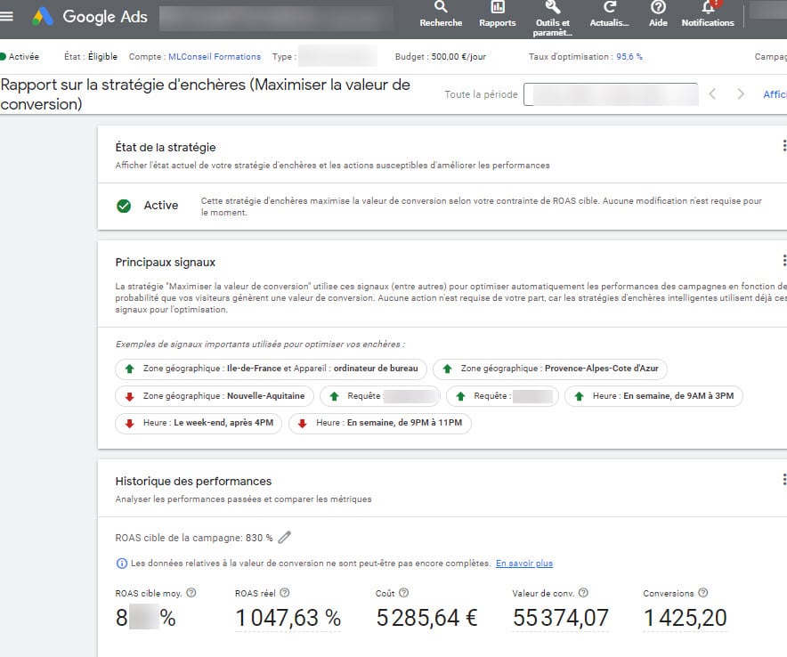 Rapport sur la valeur de conversion roas cible