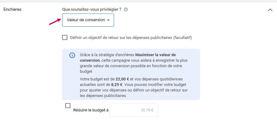 Valeur de conversion dasn une campagne google ads